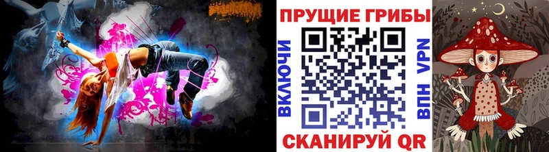 цена Карабаш Галлюциногенные грибы Psilocybine cubensis